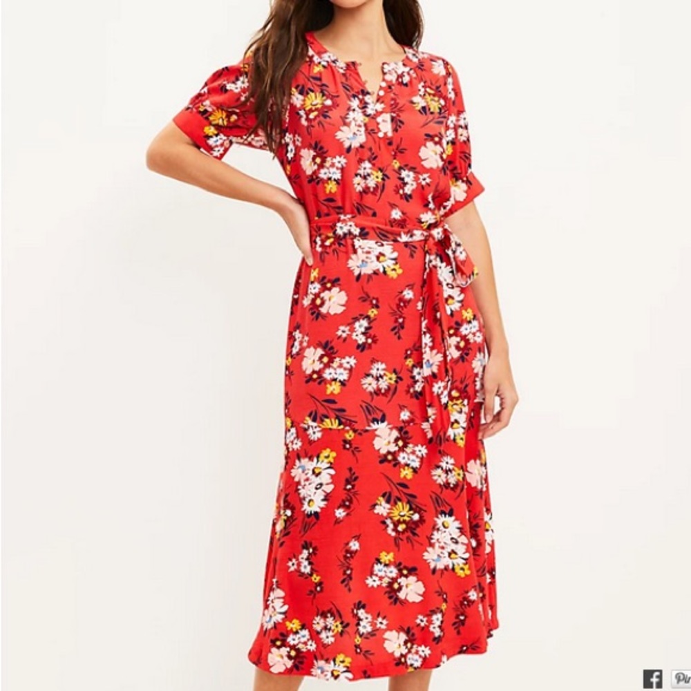 NWT Loft Petite Dress